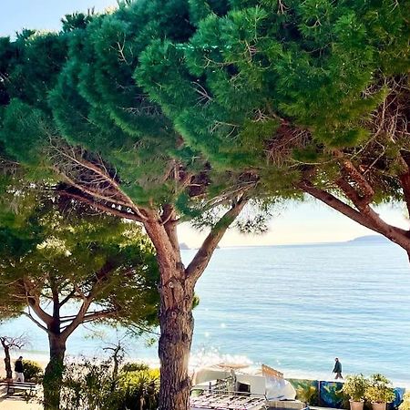 Appartement les pieds dans l'eau à Cavalière (Lavandou 83) Le Lavandou Exterior foto